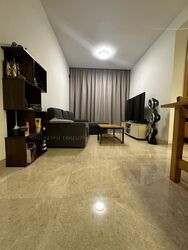 Jervois Treasures (D10), Apartment #588855851